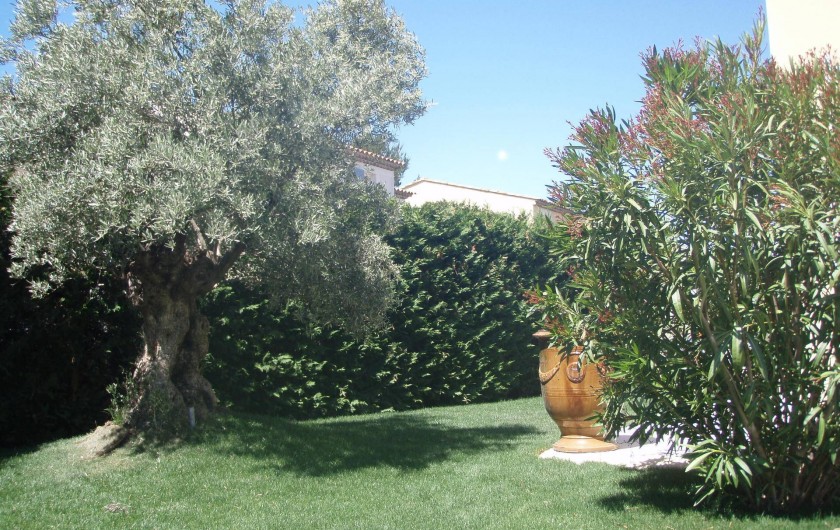 Location de vacances - Villa à Aix-en-Provence - Joli jardin paysager côté Ouest avec un magnifique olivier et un laurier rose