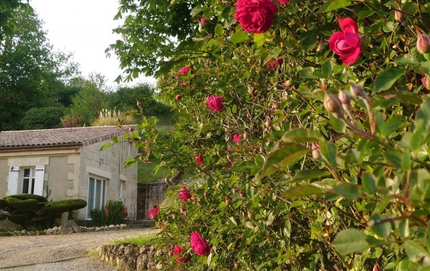 Location de vacances - Gîte à Bourg sur Gironde
