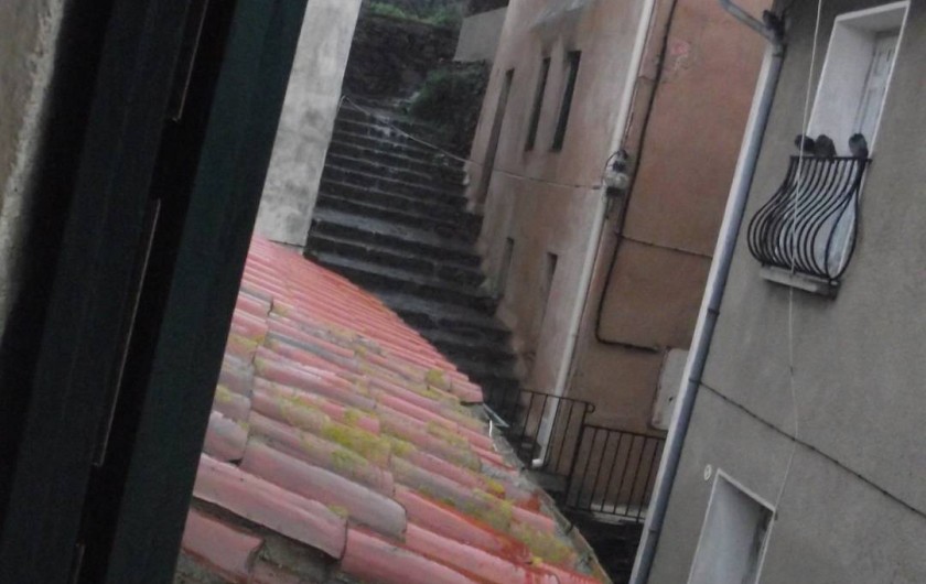 Location de vacances - Maison - Villa à Collioure - Vieux quartier