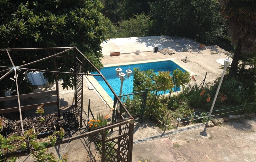 Location de vacances - Villa à Cantaron - La piscine vue de la terrasse