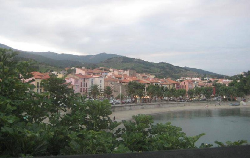 Location de vacances - Appartement à Collioure - Collioure