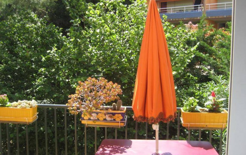 Location de vacances - Appartement à Collioure - Terrasse