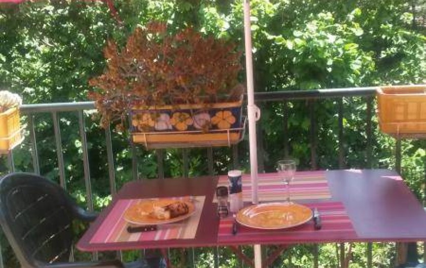 Location de vacances - Appartement à Collioure - Terrasse