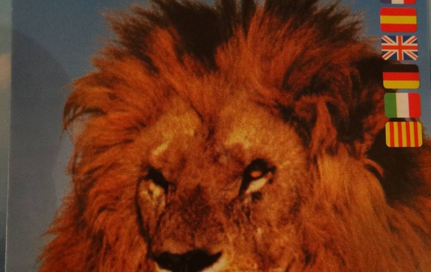 Location de vacances - Bungalow - Mobilhome à Sérignan