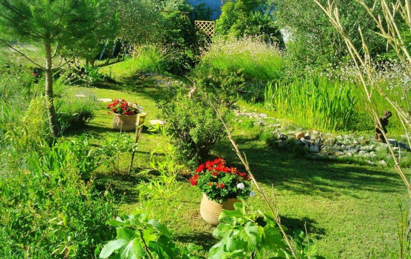 Location de vacances - Maison - Villa à Cheval-Blanc - le refuge des oiseaux de toutes sortes