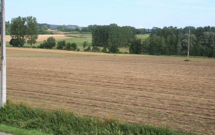 Location de vacances - Gîte à Wodecq - Vue depuis l'intérieur et également depuis la terrasse.