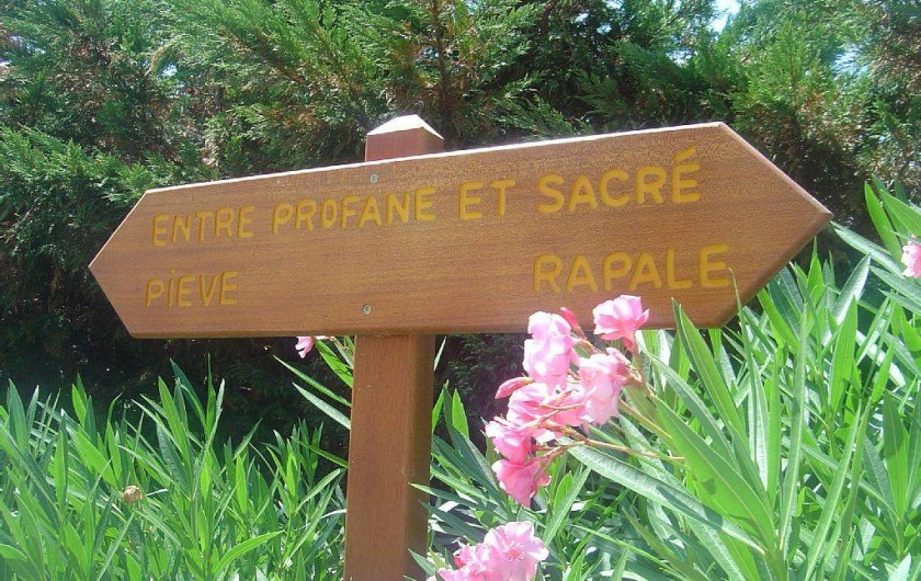 Location de vacances - Maison - Villa à Rapale - Le chemin dans le maquis