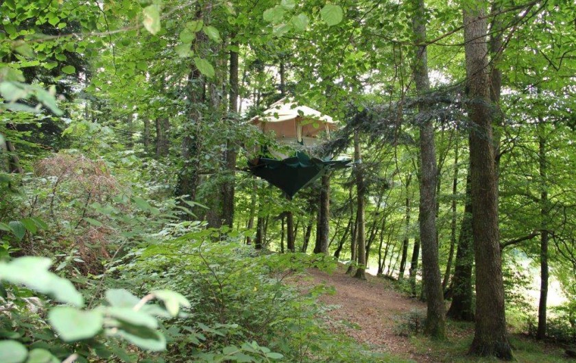 Location de vacances - Cabane dans les arbres à Buhl