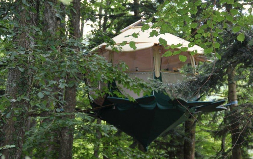 Location de vacances - Cabane dans les arbres à Buhl