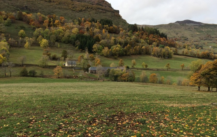 Location de vacances - Chambre d'hôtes à Lavigerie