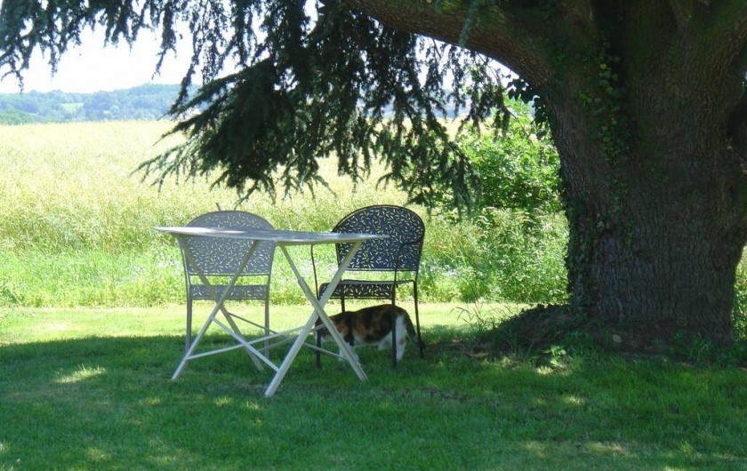 Location de vacances - Chambre d'hôtes à Taponas