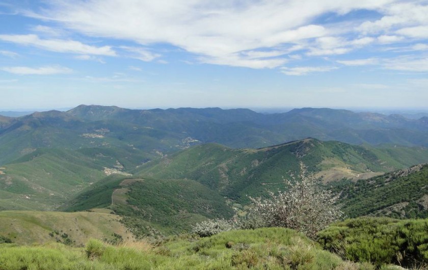 Location de vacances - Gîte à Notre-Dame-de-la-Rouvière - Cévennes Méridionales, depuis le haut de la vallée