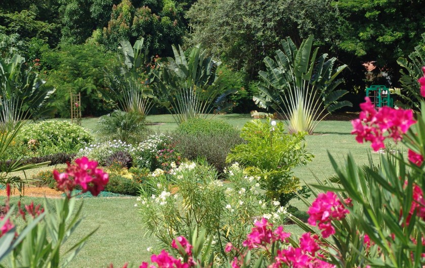 Location de vacances - Bungalow - Mobilhome à Le François - le magnifique parc de la Route des épices.