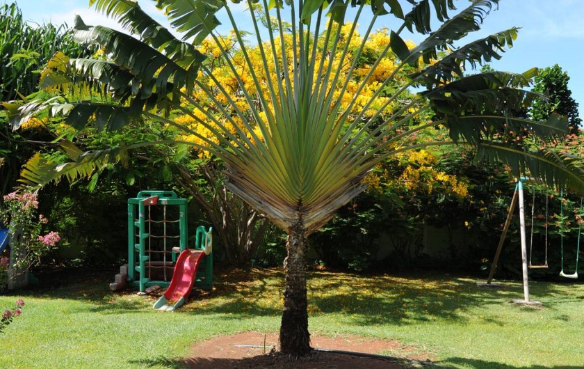 Location de vacances - Bungalow - Mobilhome à Le François - une partie du parc et des jeux pour enfants.