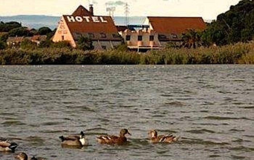 Location de vacances - Hôtel - Auberge à Frontignan