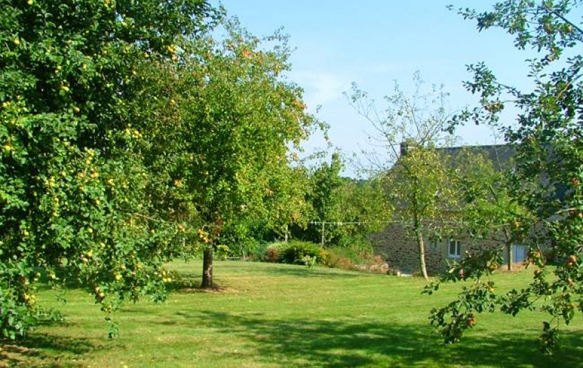Location de vacances - Gîte à Josselin - Gîte Triskel