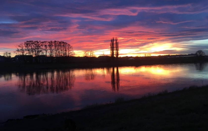 Location de vacances - Appartement à Dresde - Coucher du soleil au bord du fleuve d'Elbe