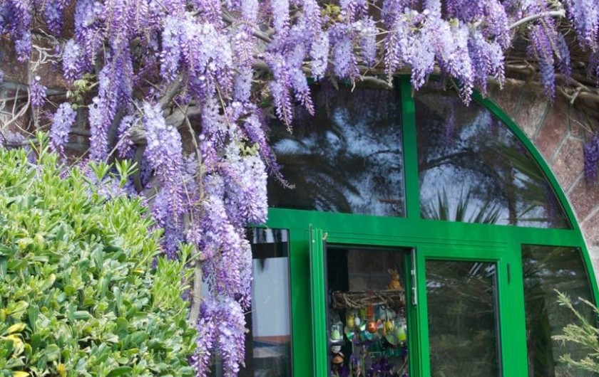 Location de vacances - Appartement à Saint-Raphaël