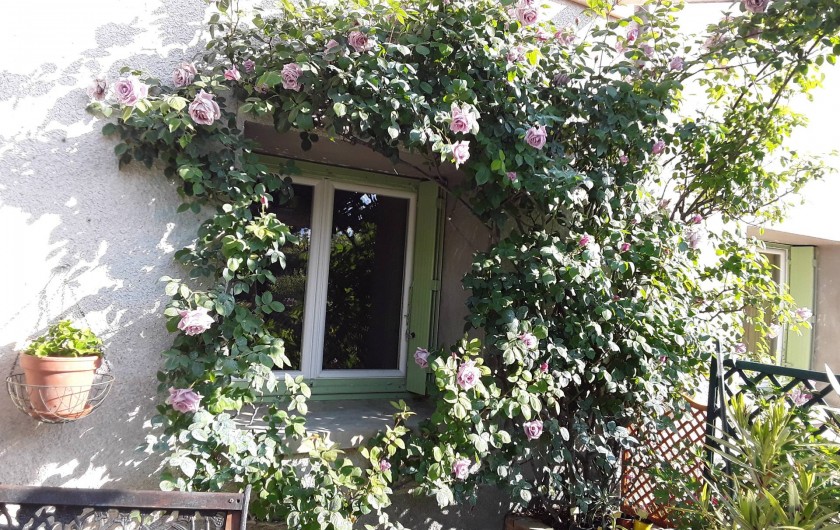 Location de vacances - Gîte à Salvagnac - Notre rosier bleu