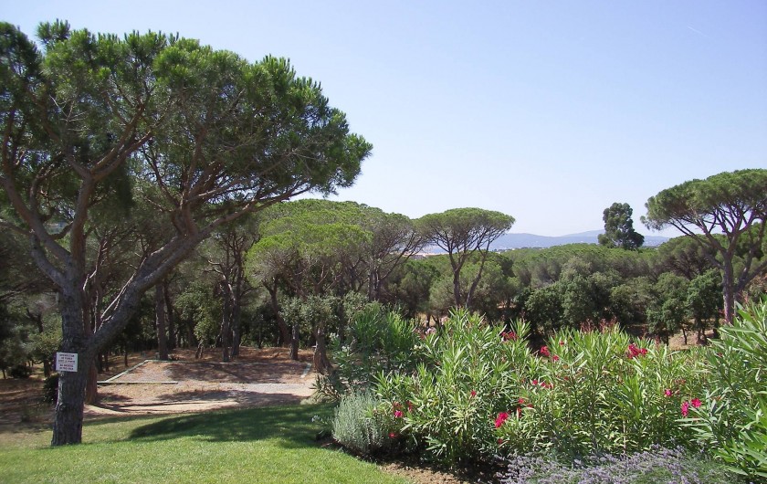 Location de vacances - Appartement à Sainte-Maxime