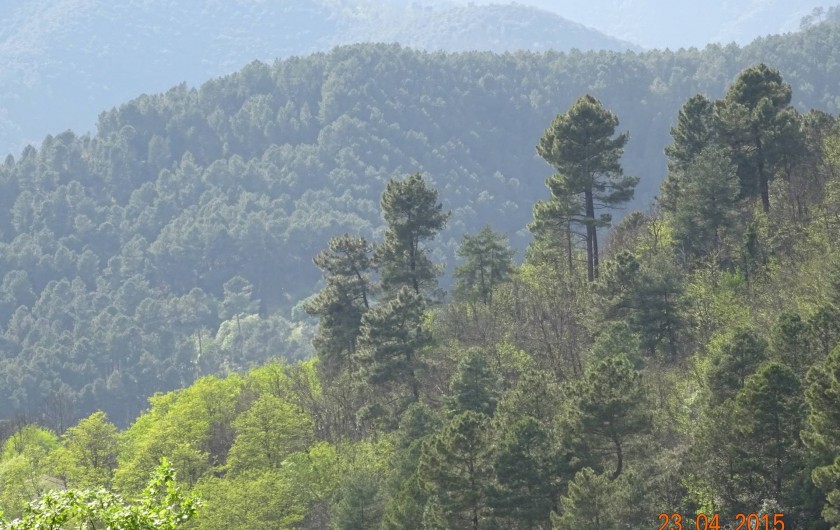 Location de vacances - Mas à Mialet - vue des Cévennes