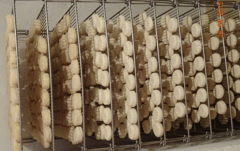 Location de vacances - Mas à Mialet - bergerie à proximité pour achat de Pélardon AOC