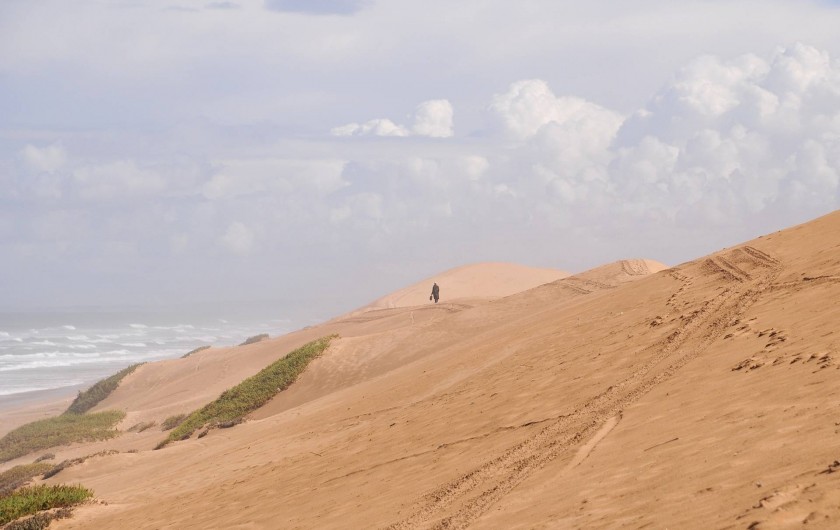 Location de vacances - Villa à Mirleft - La dune devant la plage