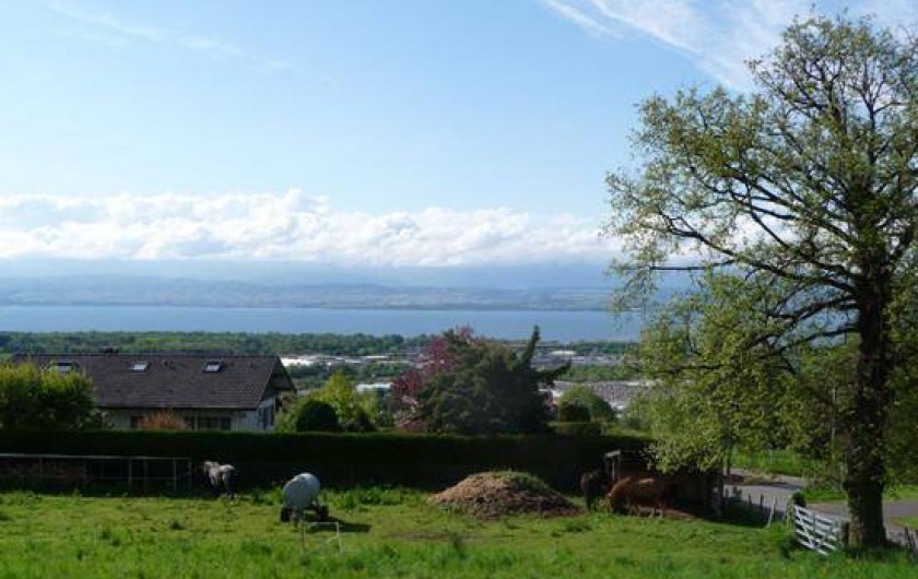 Location de vacances - Chalet à Marin