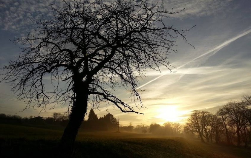Location de vacances - Chalet à Marin
