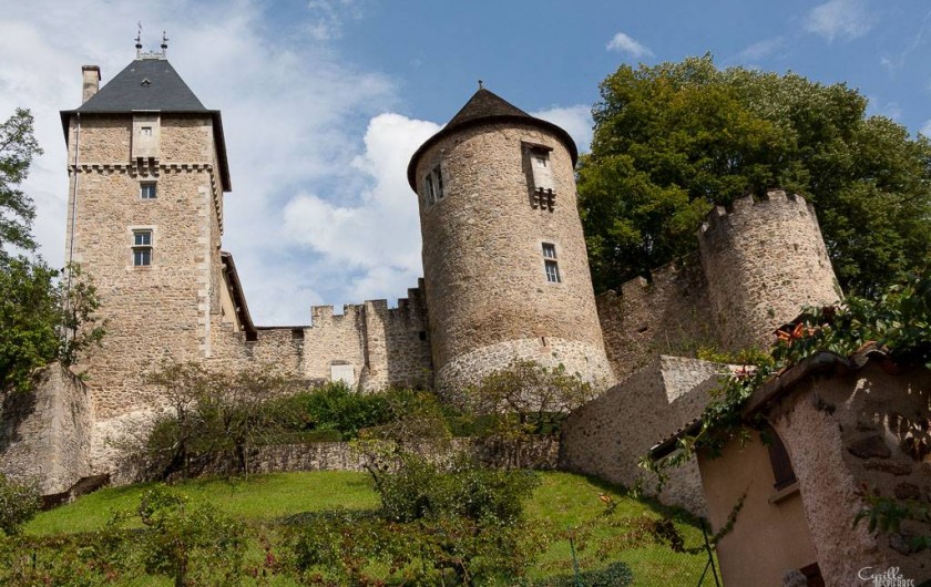 Location de vacances - Gîte à Châteldon - Vue sur le château du                13   eme siècle