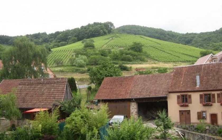 Location de vacances - Gîte à Albé