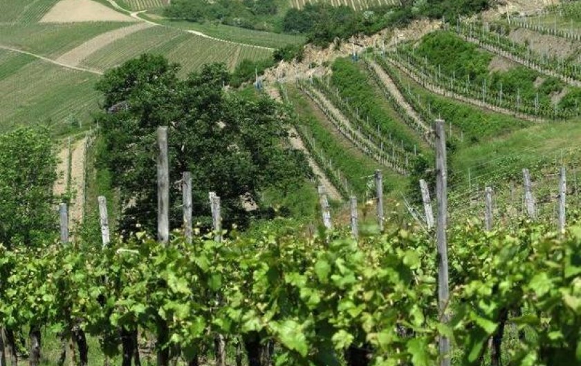 Location de vacances - Gîte à Albé