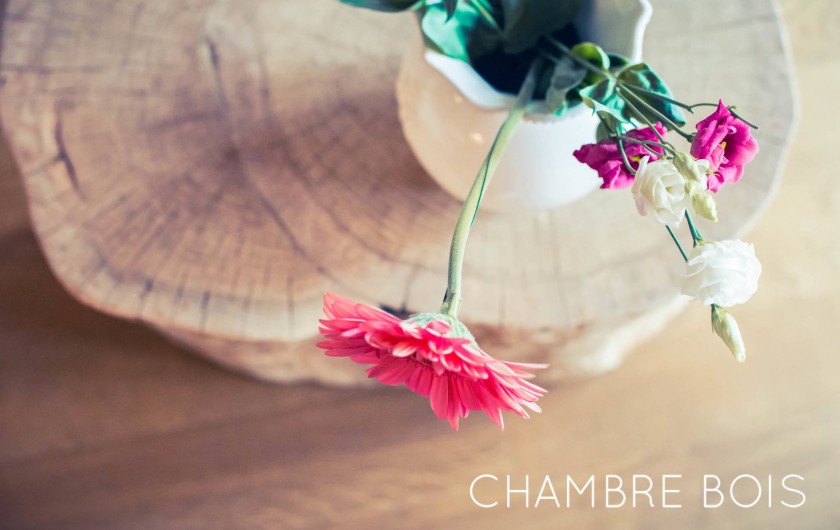 Location de vacances - Chambre d'hôtes à Sainte-Maure - Chambre Bois