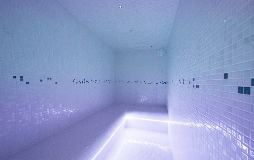 Location de vacances - Chambre d'hôtes à Sainte-Maure - Hammam