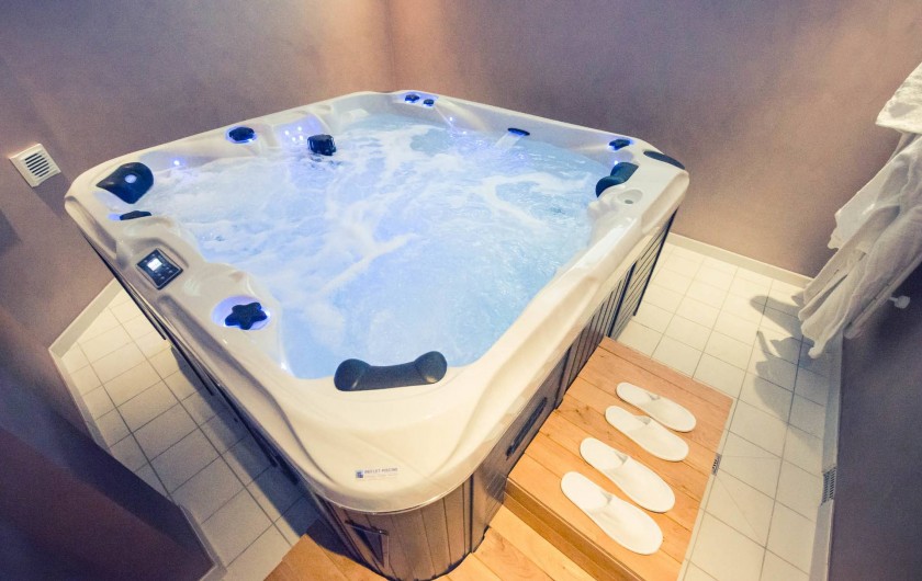Location de vacances - Chambre d'hôtes à Sainte-Maure - Jacuzzi