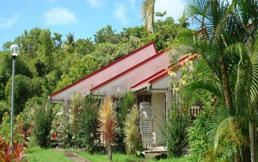 Location de vacances - Studio à La Trinité - Coté jardin les fleurs et les crotons