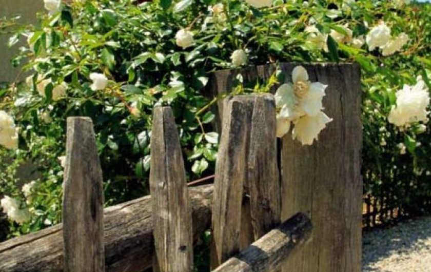 Location de vacances - Chambre d'hôtes à Brignac-la-Plaine