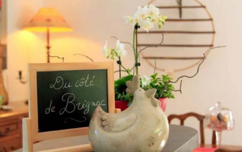 Location de vacances - Chambre d'hôtes à Brignac-la-Plaine