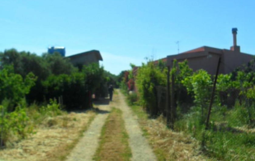 Location de vacances - Chalet à Guspini - L'allée conduisant à la propriété.