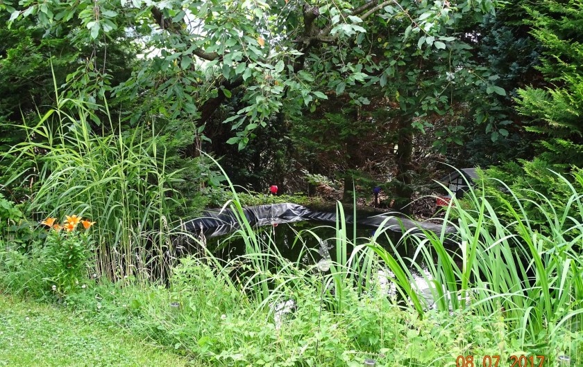Location de vacances - Gîte à Allendorf - Petit etan dans le jardin