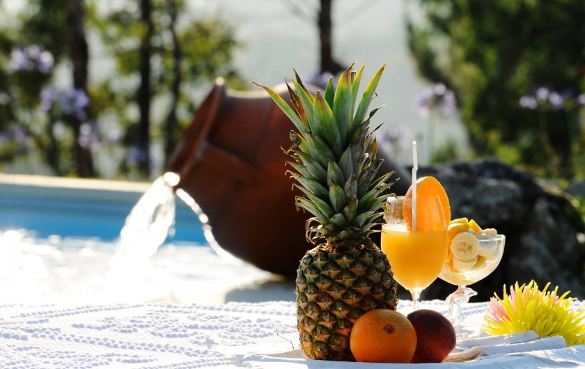 Location de vacances - Villa à Vieira do Minho