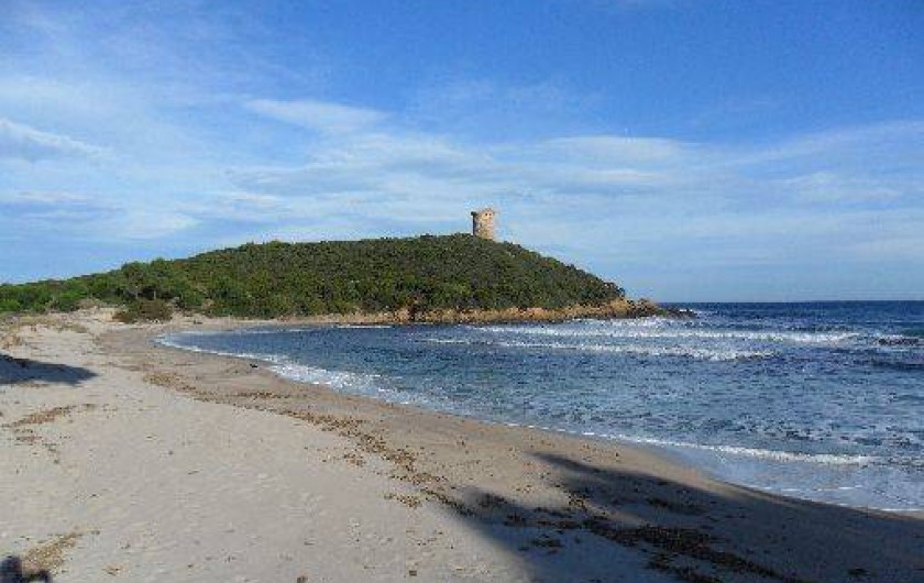 Location de vacances - Appartement à Sainte-Lucie de Porto-Vecchio