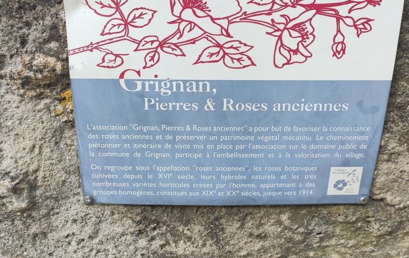 Location de vacances - Gîte à Grillon - Grignan et ses rosiers