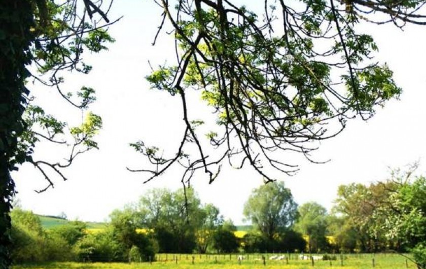 Location de vacances - Chambre d'hôtes à Levoncourt