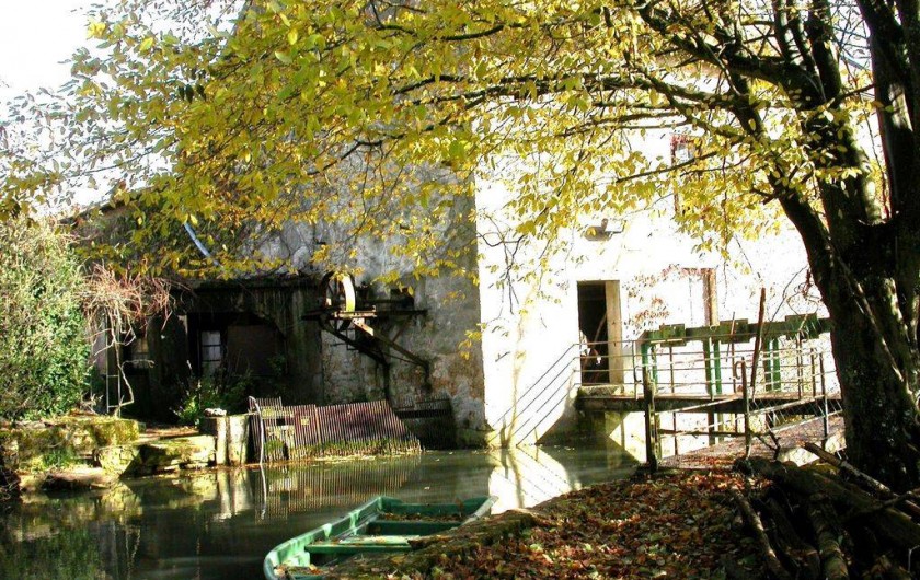 Location de vacances - Gîte à Renève