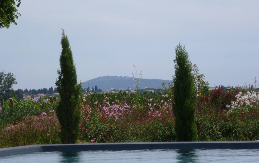 Location de vacances - Gîte à Mèze - Vue sur Mont St clair Sète
