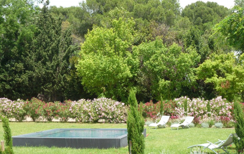 Location de vacances - Gîte à Mèze - Plunge spool - jardin Méditéraneen