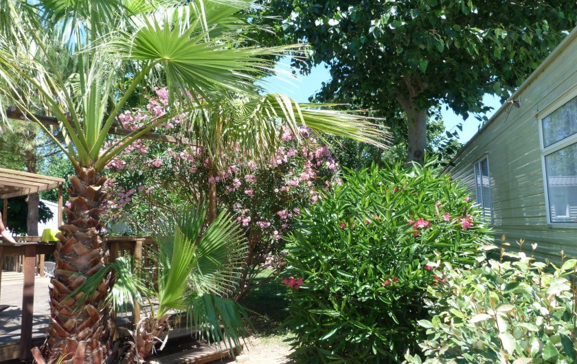 Location de vacances - Bungalow - Mobilhome à Vias - l'entrée sur l'emplacement