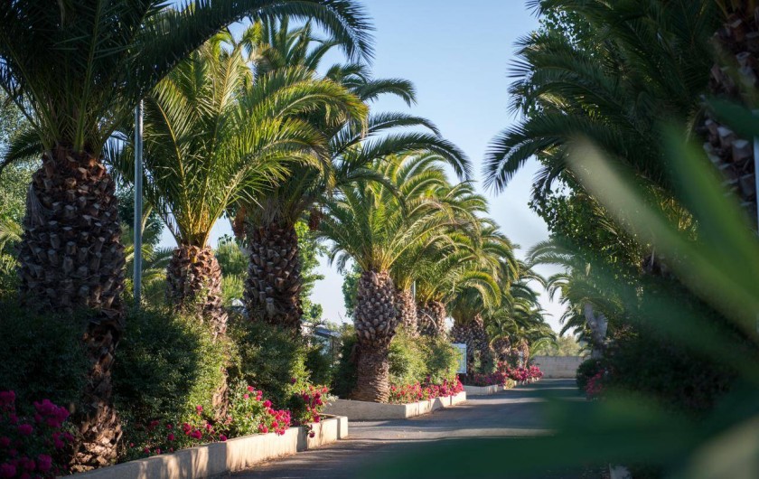 Location de vacances - Bungalow - Mobilhome à Vias