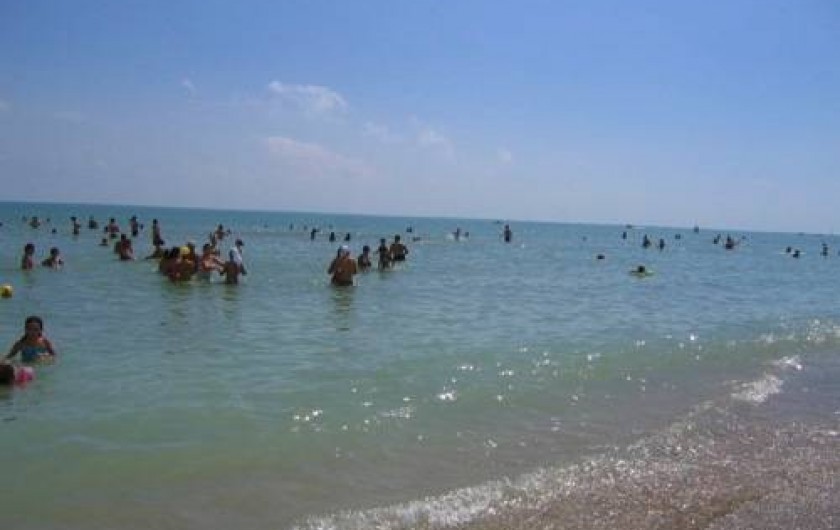 Location de vacances - Appartement à Alba Adriatica